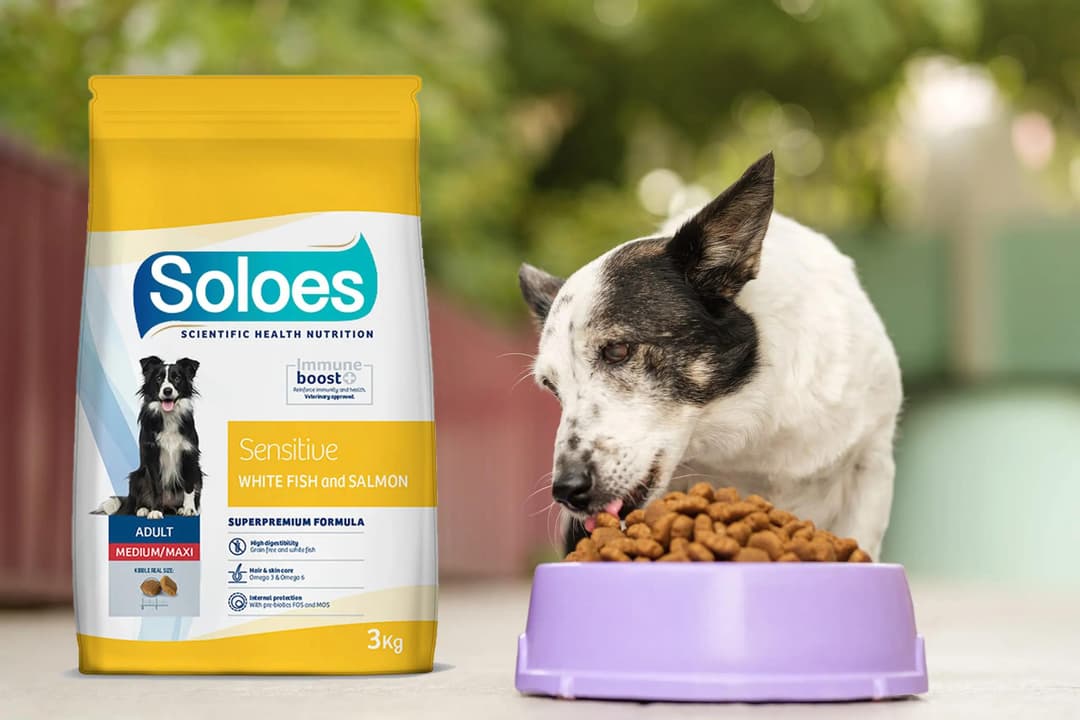 the-essential-nutrients-for-optimal-pet-health